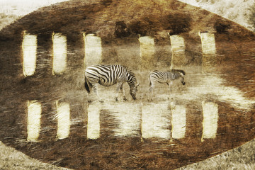 Fototapeta na wymiar South African safari digital image with a Zulu Shield and zebra.
