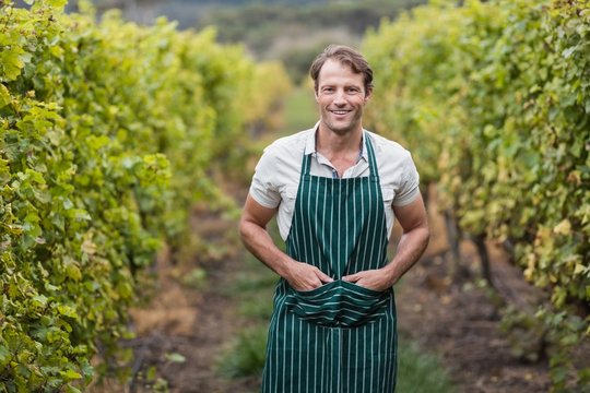 Happy vintner with hands in pockets