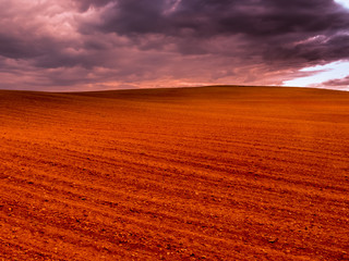 Crop field and stormy sky