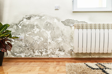 Mold and moisture buildup on wall of a modern house - obrazy, fototapety, plakaty