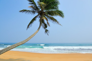 Obraz na płótnie Canvas Tropical beach