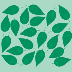 Green leaves background.