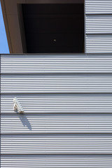 Schutz am Haus / Eine moderne Hausfassade mit einer Überwachungskamera