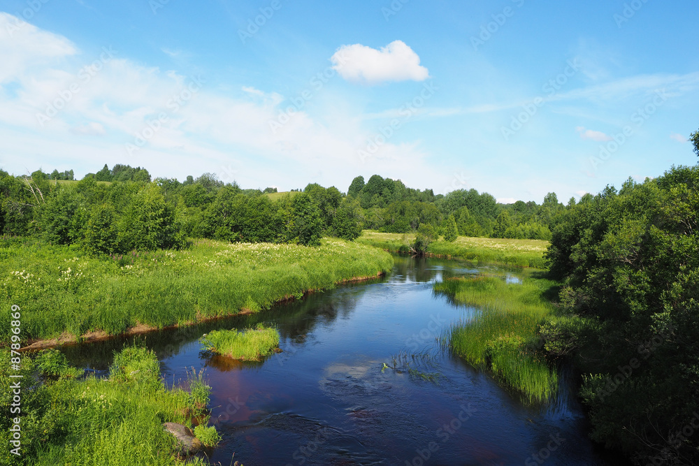 Canvas Prints river in summer