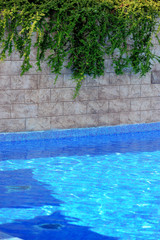 Fototapeta na wymiar Swimming pool
