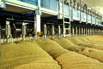 Industrial production of malt. A huge vat