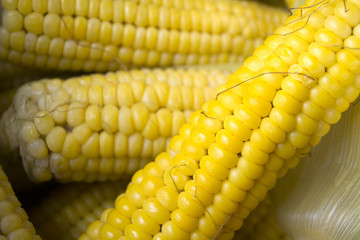 Corn