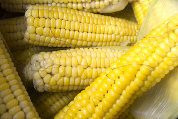 Corn