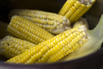 Corn