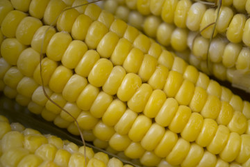 Corn