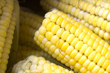 Corn