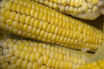 Corn