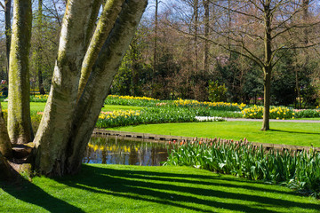 Beautiful Garden.  Garden landscape.  landscape design