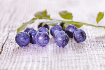 Close-up of a group of blueberries and a branch