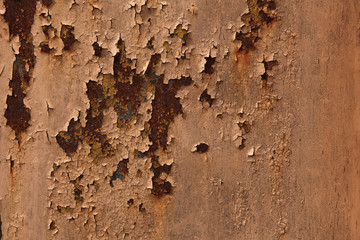 Old metal wall colored in brown. Background texture.