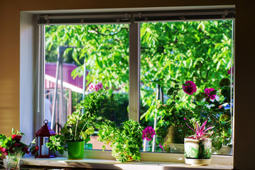 window in country house