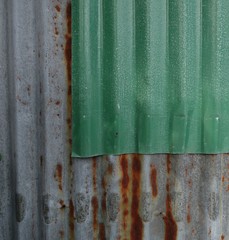 Rusted corrugated zinc sheets overlapping to form a fence
