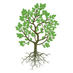 Tree and Roots. Vector Illustration.