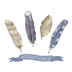 Watercolor feathers collection