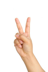 Hand with two fingers up in the peace or victory symbol. Also the sign for the letter V in sign...