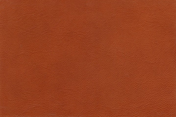Texture sheep skin of reddish color