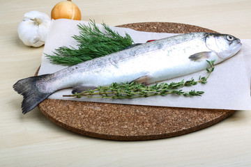 Raw trout