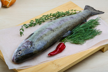 Raw trout
