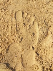 Footprint in the sand beach