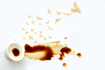 Coffee art. Birds from spilled coffee
