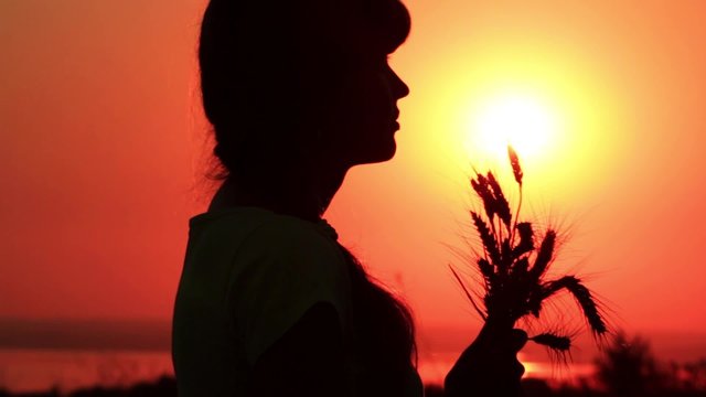 silhouette of a girl on the field with ears in hands at sunset