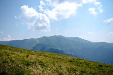 Carpathian mountains summer landscape  with green sunny hills wi
