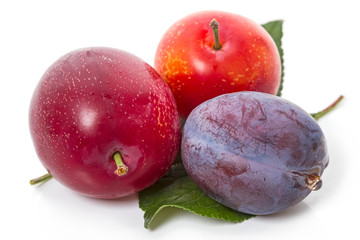 Three different plums