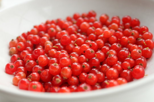 Freshly picked redcurrants in a bowl