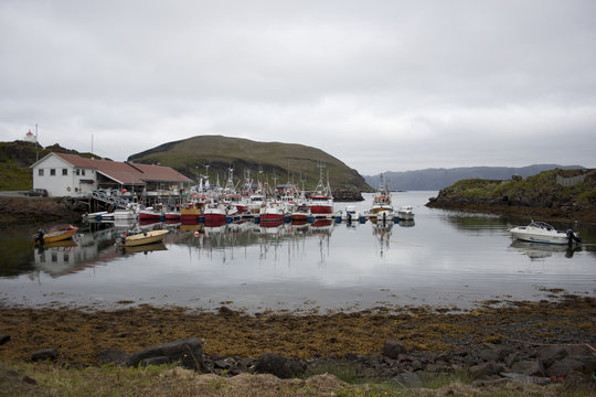 Hafen Kam&oslash;yv&aelig;r