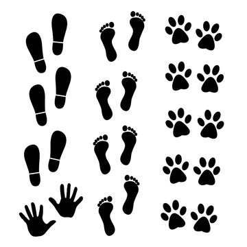 Vector collection of human and animal trace