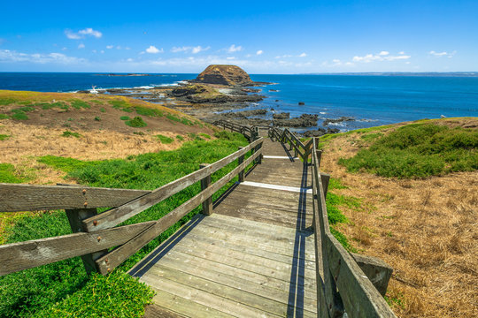 Phillip Island Nature Park