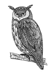 Vector illustration of wild totem animal - Owl