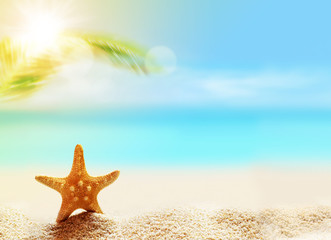 Fototapeta na wymiar Starfish on the tropical summer beach at ocean background