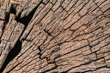 Top Cross Section surface of an old, weathered, rotten, Square Timber Bollard, made of obsolete, scrapped Railroad Cross Tie Timber, with some fungi, lichen and moss in traces.