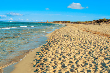 panoramic view of the Es Cavallet beach, in Ibiza Island, Spain