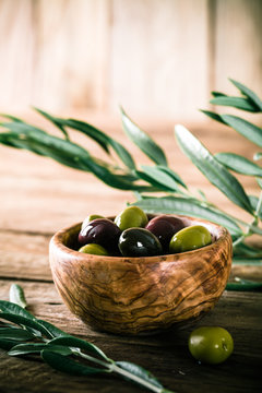 Olives on branch