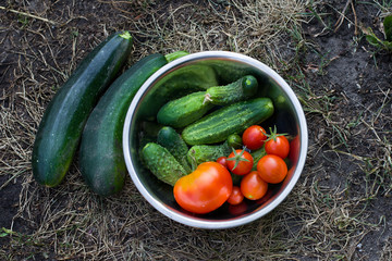 Домашние овощи с грядки свежие