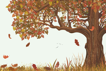 Autumn landscape with oak tree 
