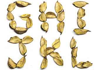 dry leaf alphabet letter g-l set