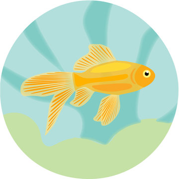 recommend clip art: Aquarium fishes: highly detailed illustration of goldfish.