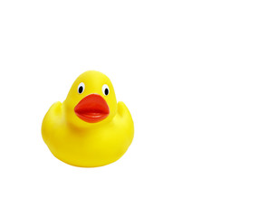 Yellow rubber small duck. Frontal view.