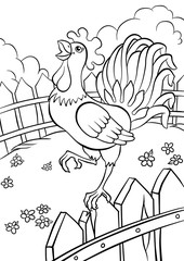 cute kind cock standing in the fence and smiling