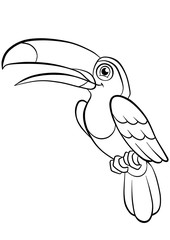 kind smiling cute toucan in a forest