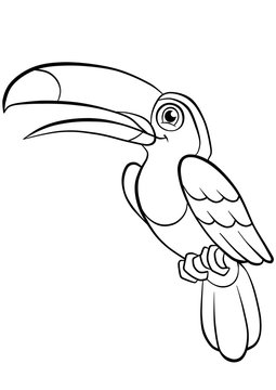 recommend clip art: kind smiling cute toucan in a forest