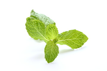 Fresh mint close up on white